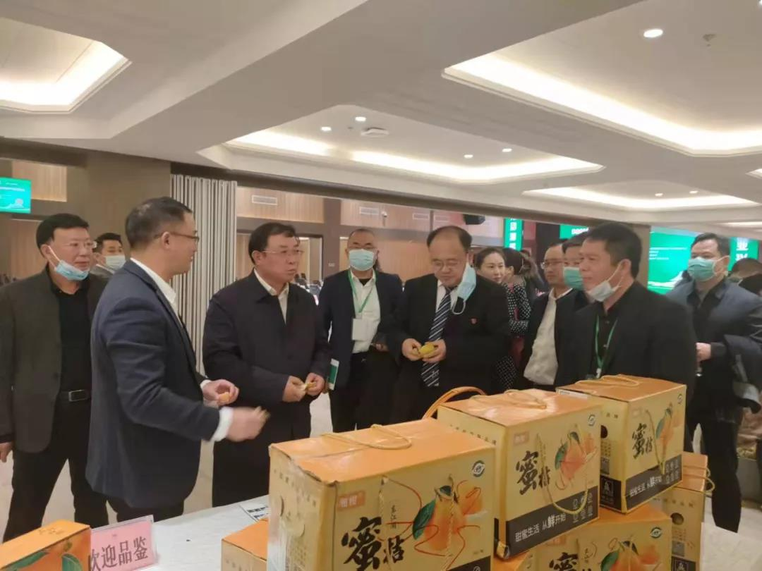 图片34.png