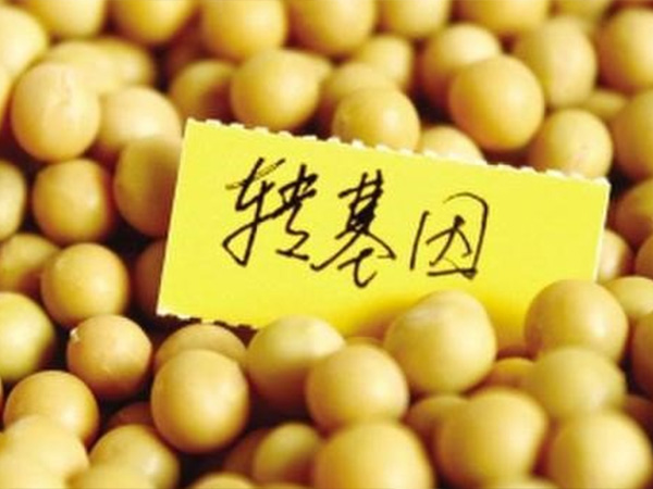 为什么转基因产品要进行安全评价？为什么说通过安全评价的转基因产品是安全的？