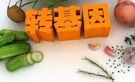 农民日报刊文澄清欧美人到底吃不吃转基因产品