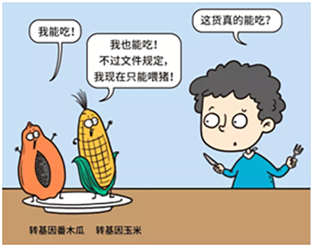 转基因食品，一定要多代人验证吗？