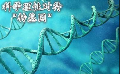 转基因食品能不能长期吃，会不会影响后代？