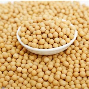 日本农林水产省发布报告，认定转基因大豆、油菜不太可能对生物多样性产生影响