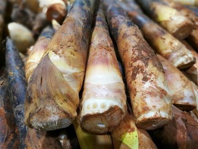 春笋上市，吃笋能刮油减肥？吃笋有三大禁忌千万别忽视？