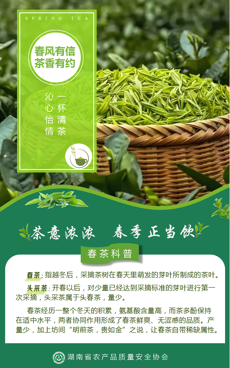 春风有信 茶香有约_01(1).png