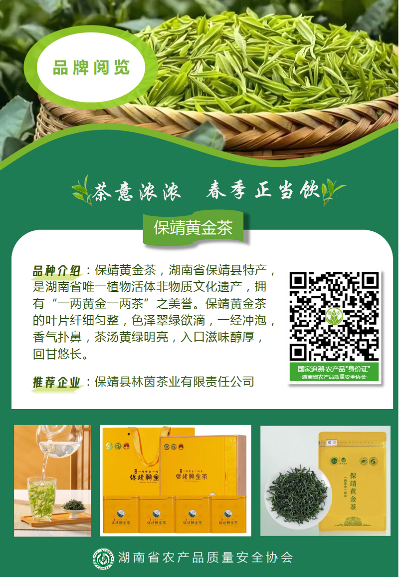 春风有信 茶香有约_02(1).png