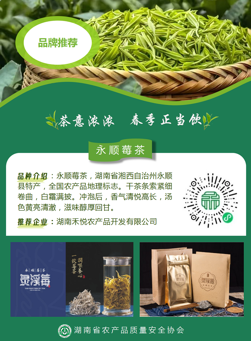 春风有信 茶香有约_06(1).png