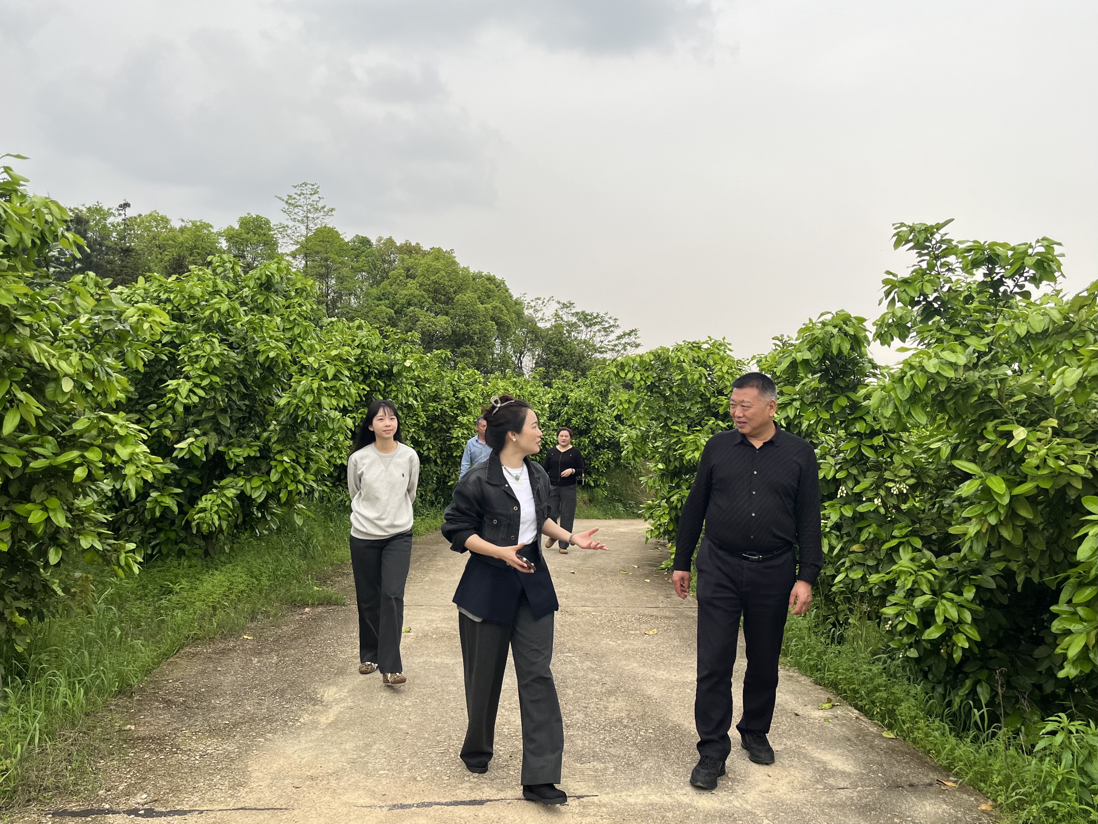 省农产品质量安全协会开展绿色食品企业调研采编