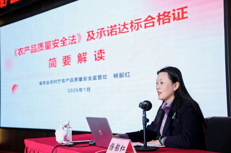 db905638-67cb-470f-bcf5-d383bcbb1fde.jpg db905638-67cb-470f-bcf5-d383bcbb1fde.jpg